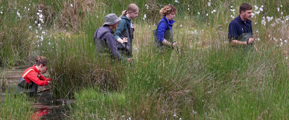 Staff in waders walking through bog
