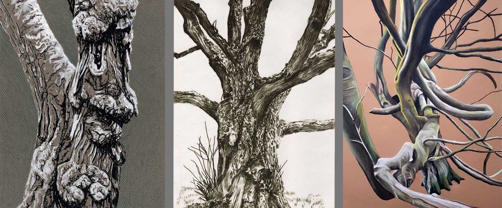 3 Drawings of trees