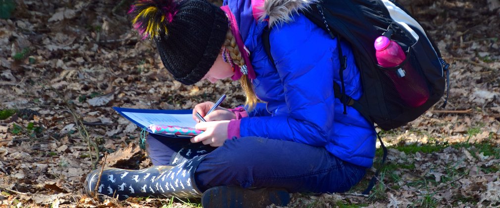 Student recording observations for woodland activity