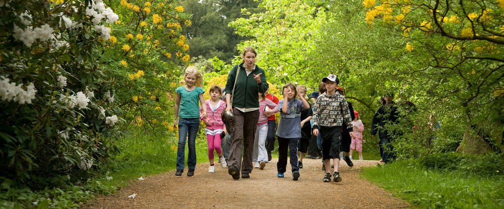 A group of children walk along a forest path with an adult female at the front