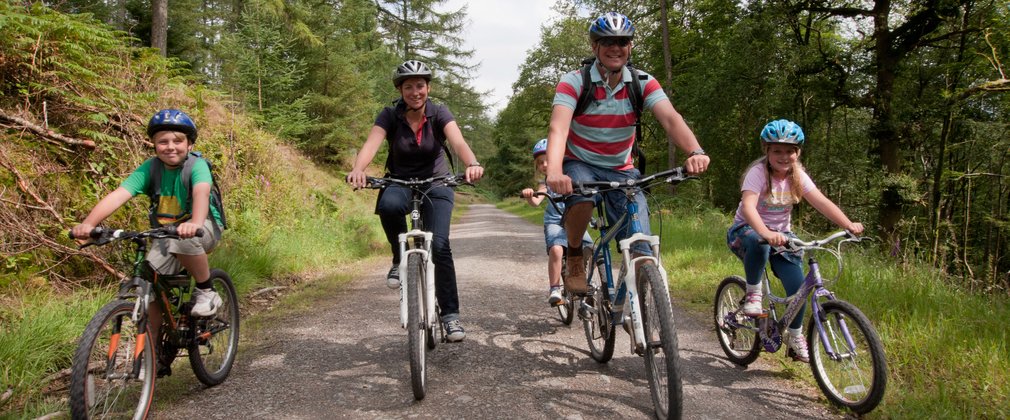 A family of four cycling on forest trail