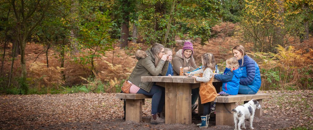 Family having a picnic in the forest