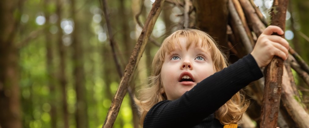 Den building in the forest 