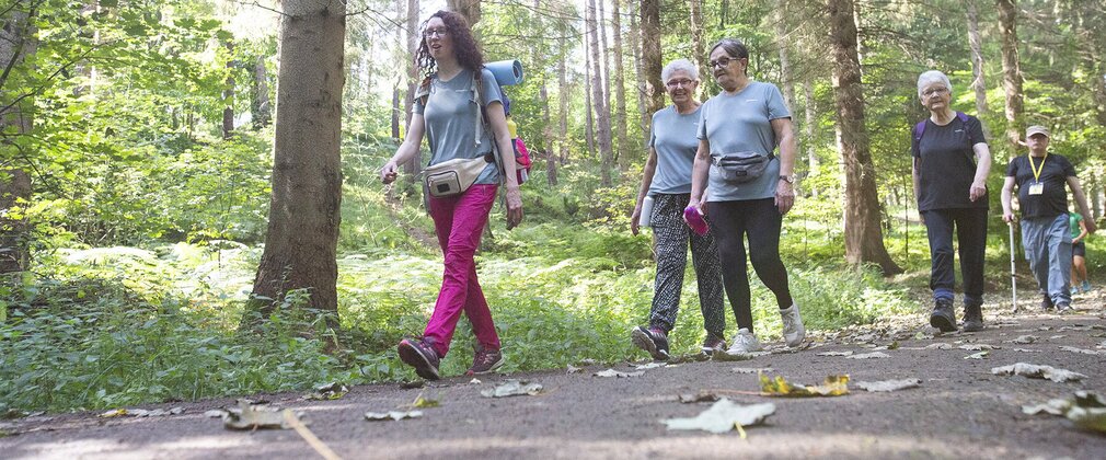A group of five people walking together along a sunny forest path.