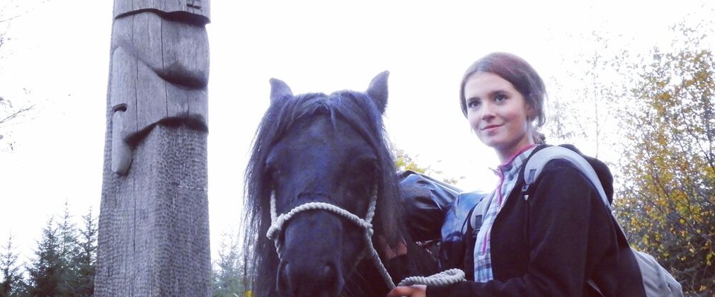 Fell Pony at Grizedale