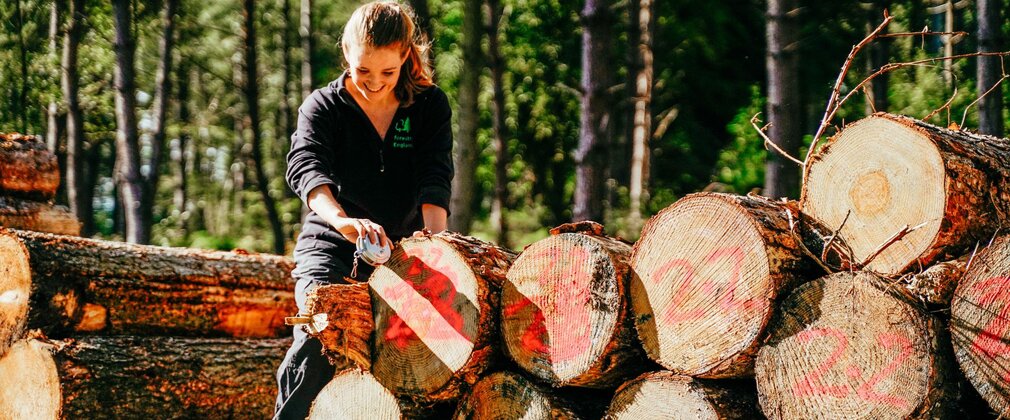 woman working with timber in a forest