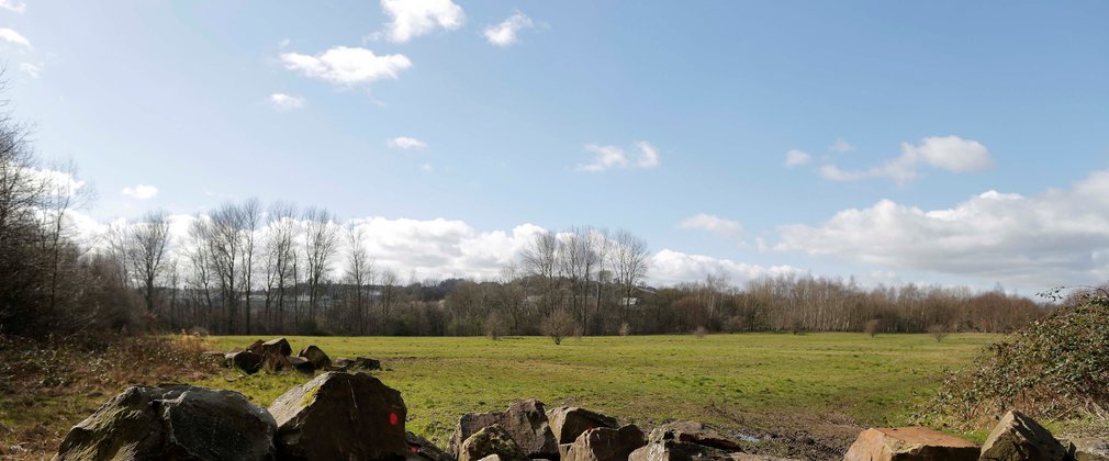 field with rocks 