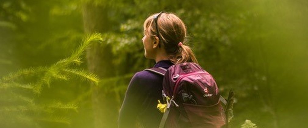 Forest Bathing at Whinlatter