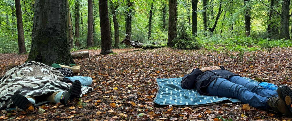 2 people lie on blankets on the forest floor practising forest bathing.