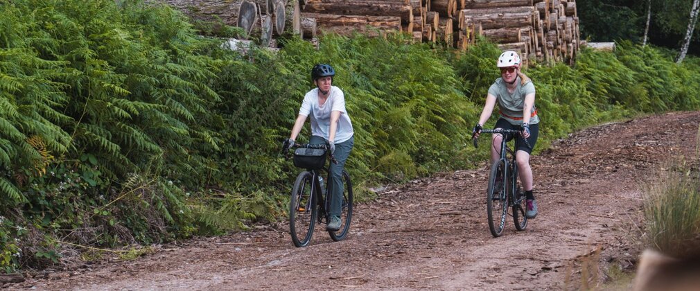 Two cyclists on a forest track, next to large log piles.