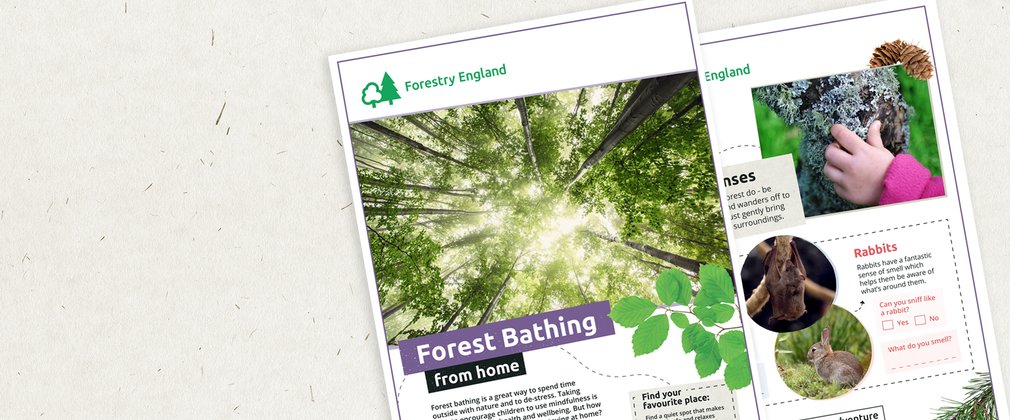 Forest bathing at home activity sheets