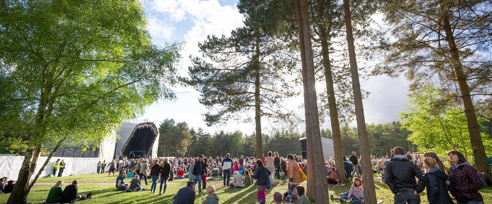 Crowd in the trees in front of a stage in the daytime