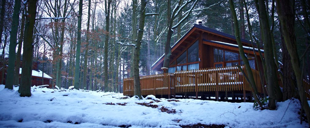Forest cabin in snow