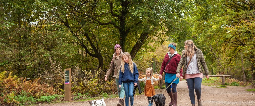 Family walking in autumn