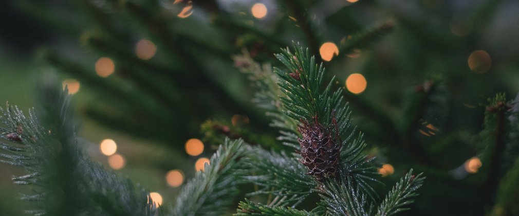 Christmas lights