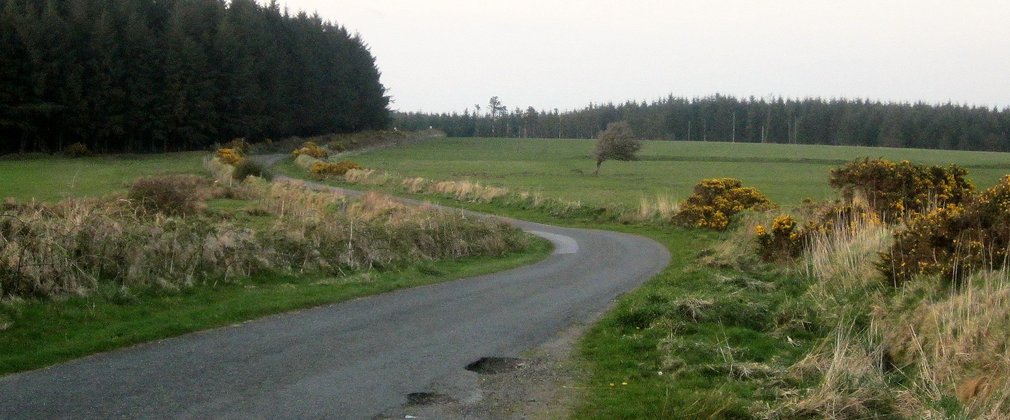 Davidstow Woods