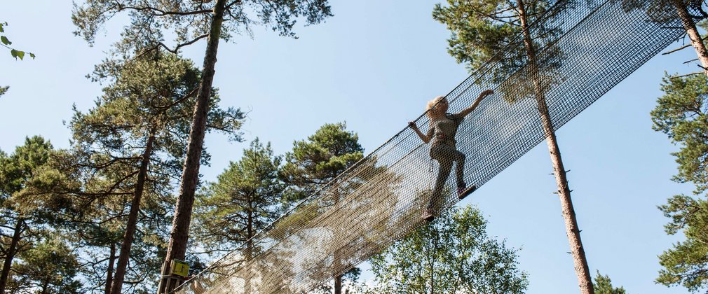 Person on a net walk