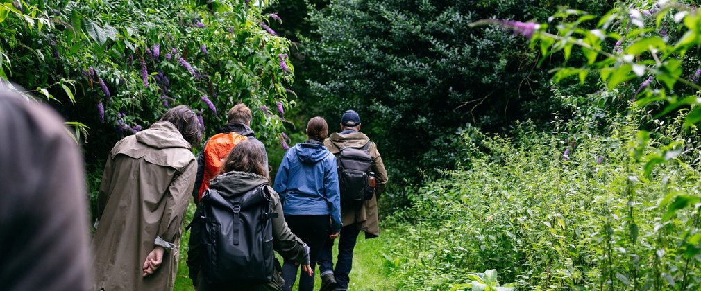 Group of people walking away together surrounded by greenery
