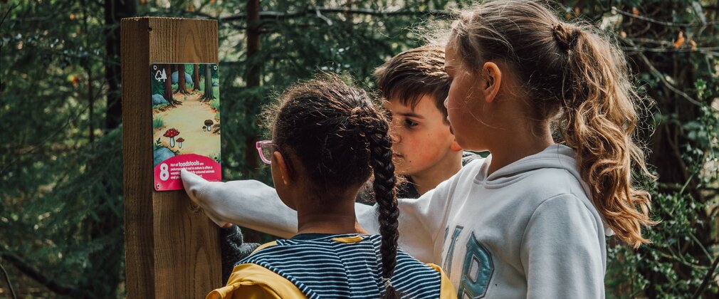 Three children looking at a wooden post marker in the forest.