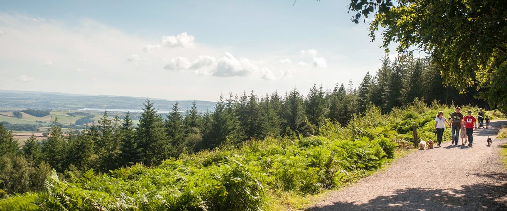 Family on walk at Haldon Forest Park