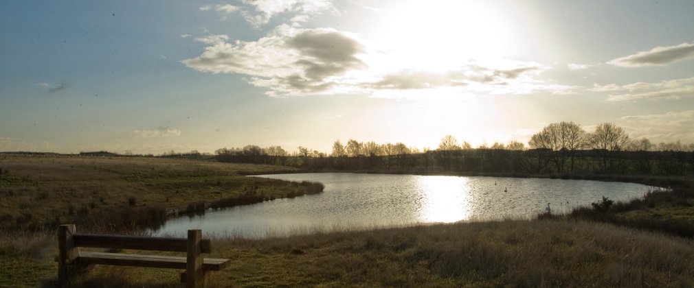 bench in front of a lake