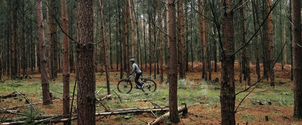woman rides through forest on a bicycle