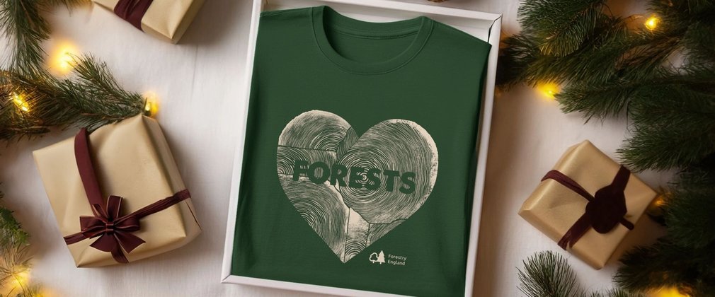An open gift box containing a folded jumper with 'forests' written on it, surrounded by wrapped gifts, pine cones and fairy lights.