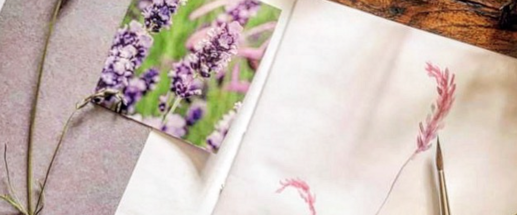 A water colour note book with a paint brush, photo and flower sample.