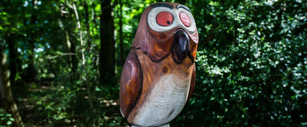 Gruffalo Owl