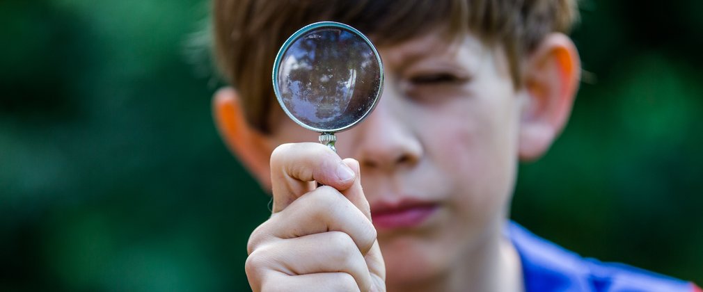 Learning Westonbirt