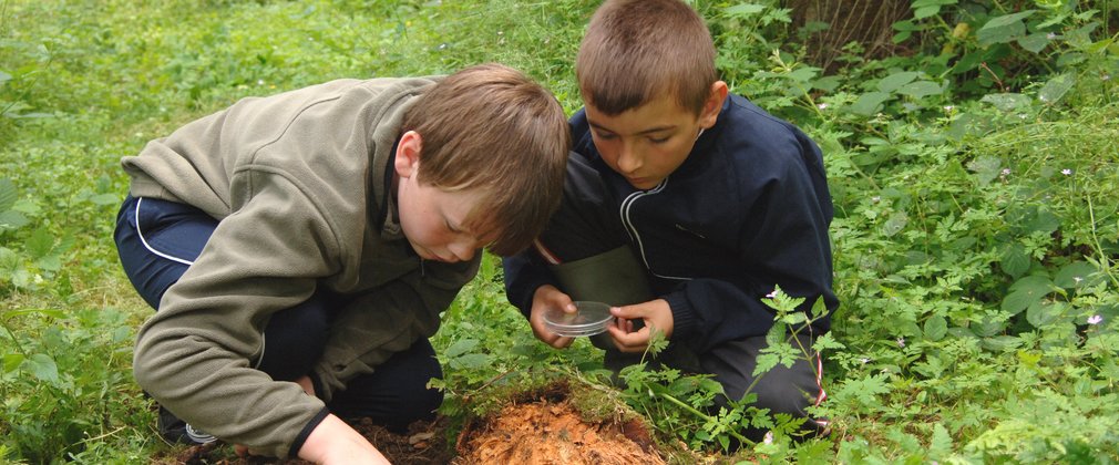 Two children exploring the forest floor