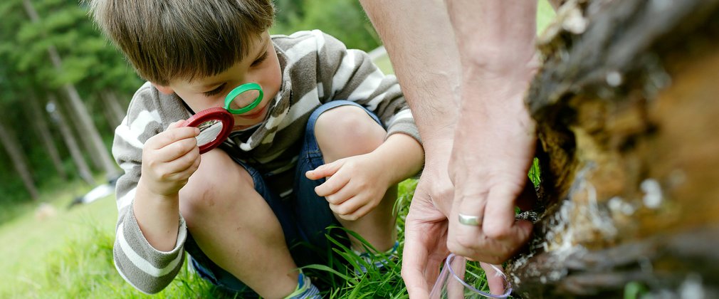 Child looking through magnifying glass at the grass in the forest 