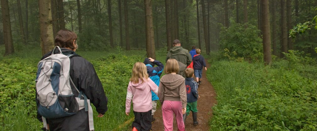 Group of school children walking through the misty forest 