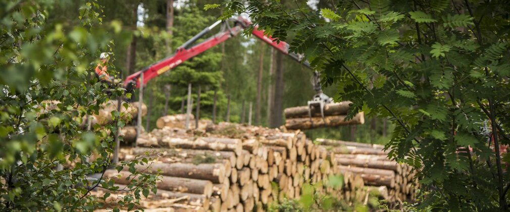 Logs being loaded onto a truck in the background surrounded by trees and shrubs in the foreground