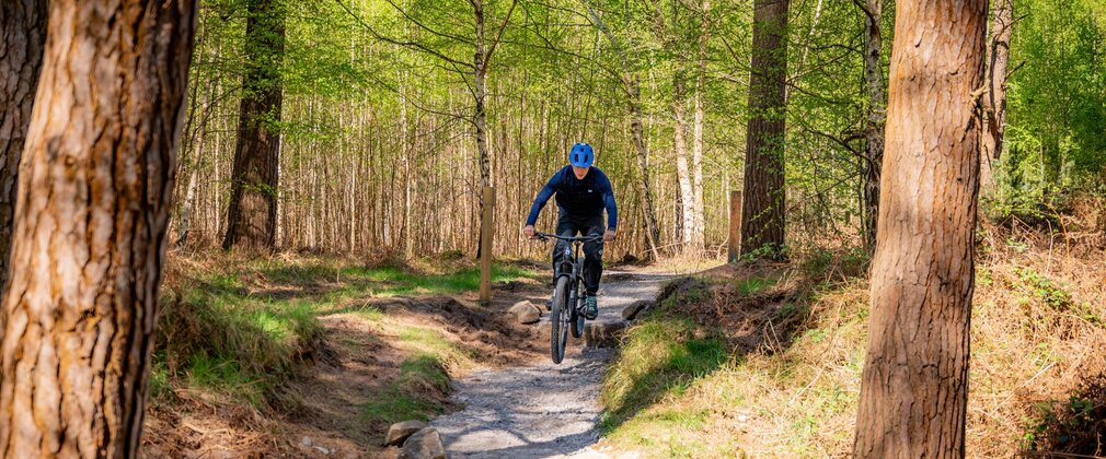 A mountain biker riding steps on a forest trail.