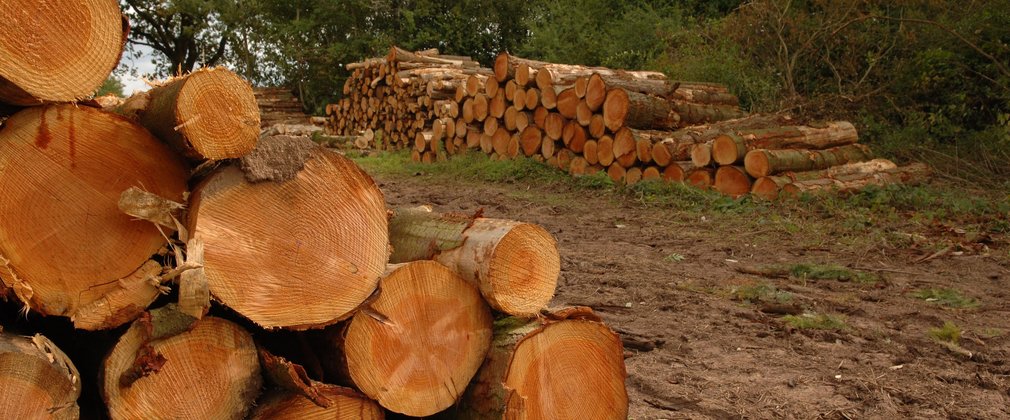 Pile of logs generic