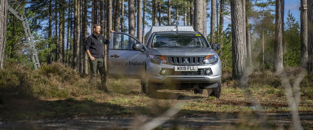 Man  in forestry england uniform leaning on van, within pine forest