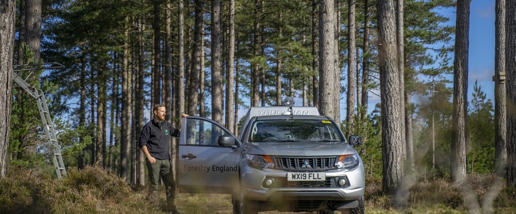 Man in forestry england uniform leaning on van, within pine forest