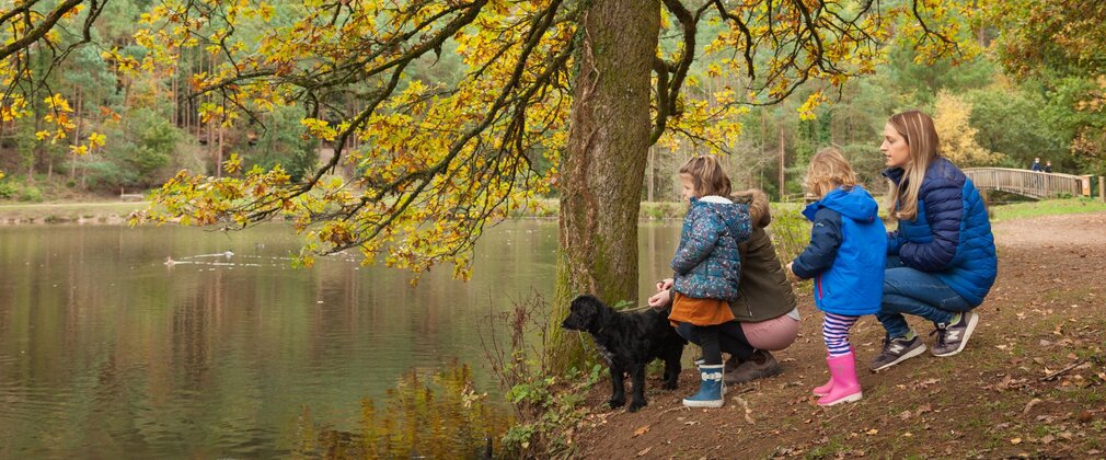 Three people and a black dog stand beneath a large tree beside a calm lake, with autumn leaves on the branches and scattered across the ground.