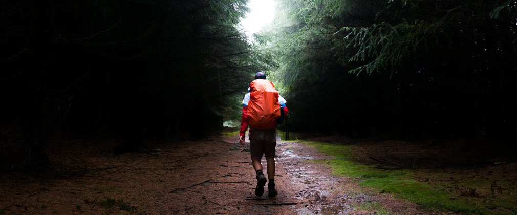 Man walking away down a forest path