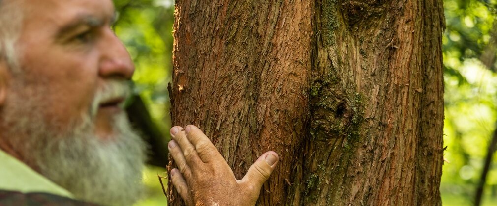 An older man with a beard laying his palm on a tree trunk.