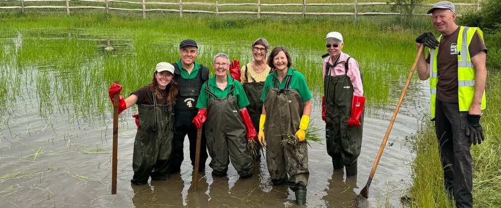 Six people stood in waterproof gear in a grassy marsh with tools.
