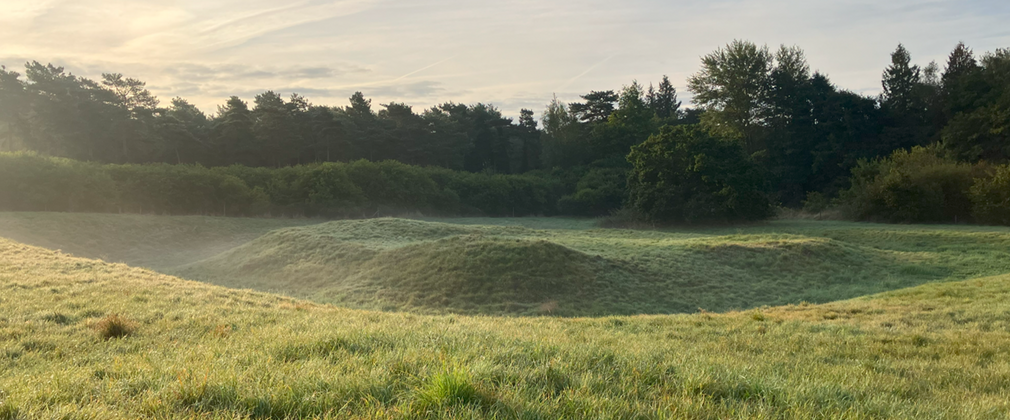 grassy moat in mist