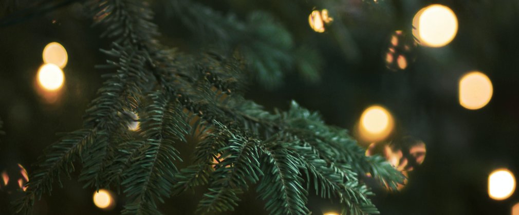 Dalby Christmas Tree
