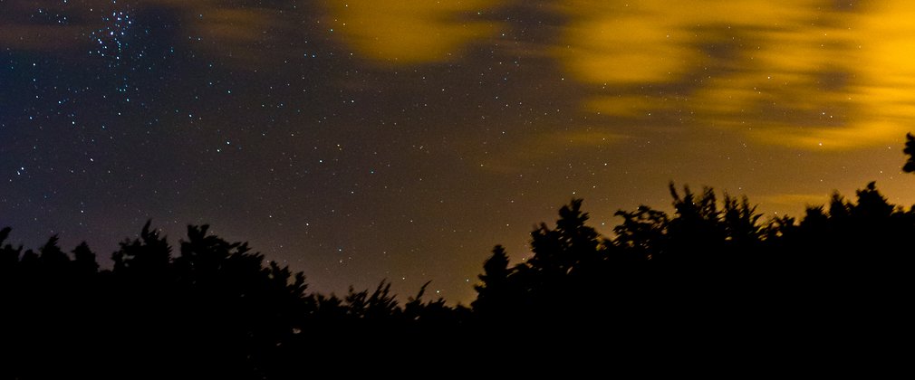 A long exposure night sky above the trees