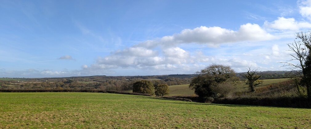 Image of open fields at new woodland creation site, Okement Wood