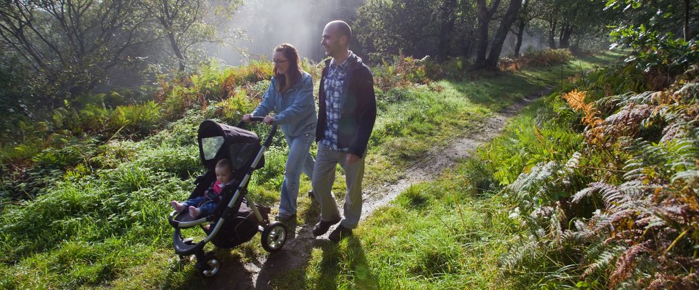 Family walking on a woodland trail