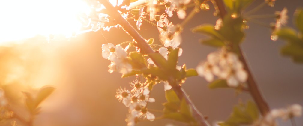 Spring yoga, Dalby Forest