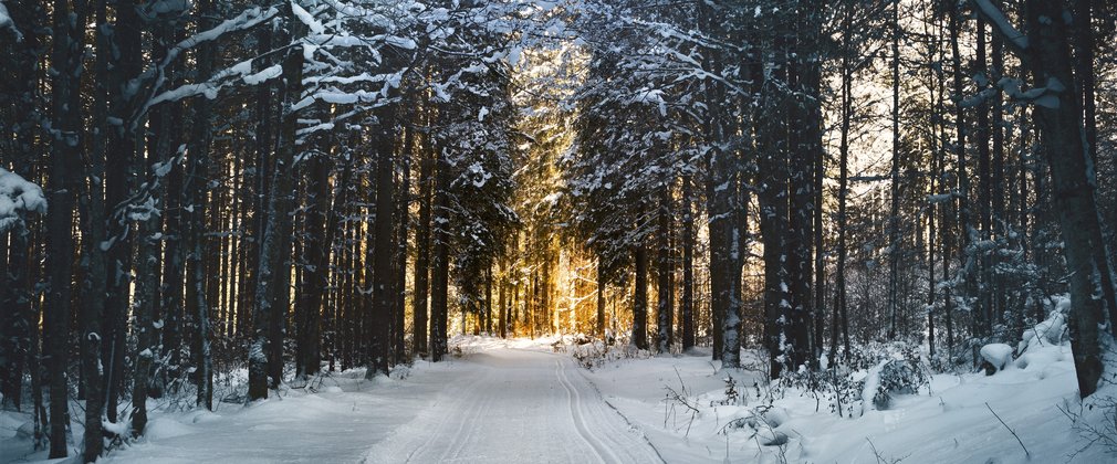 Winter solstice Dalby