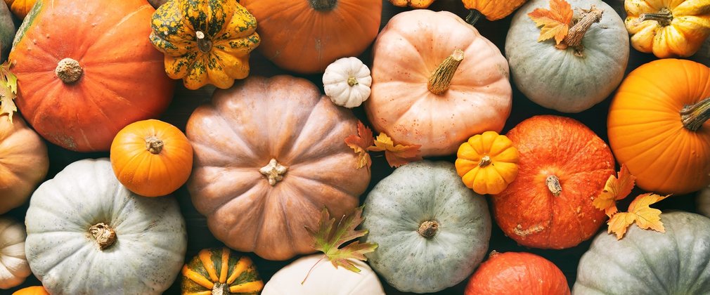 Pumpkin image